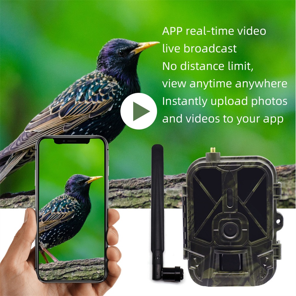 Outdoor 4G 120MP 4K Live Show  - Hunting And Outdoor Shows recension och pris